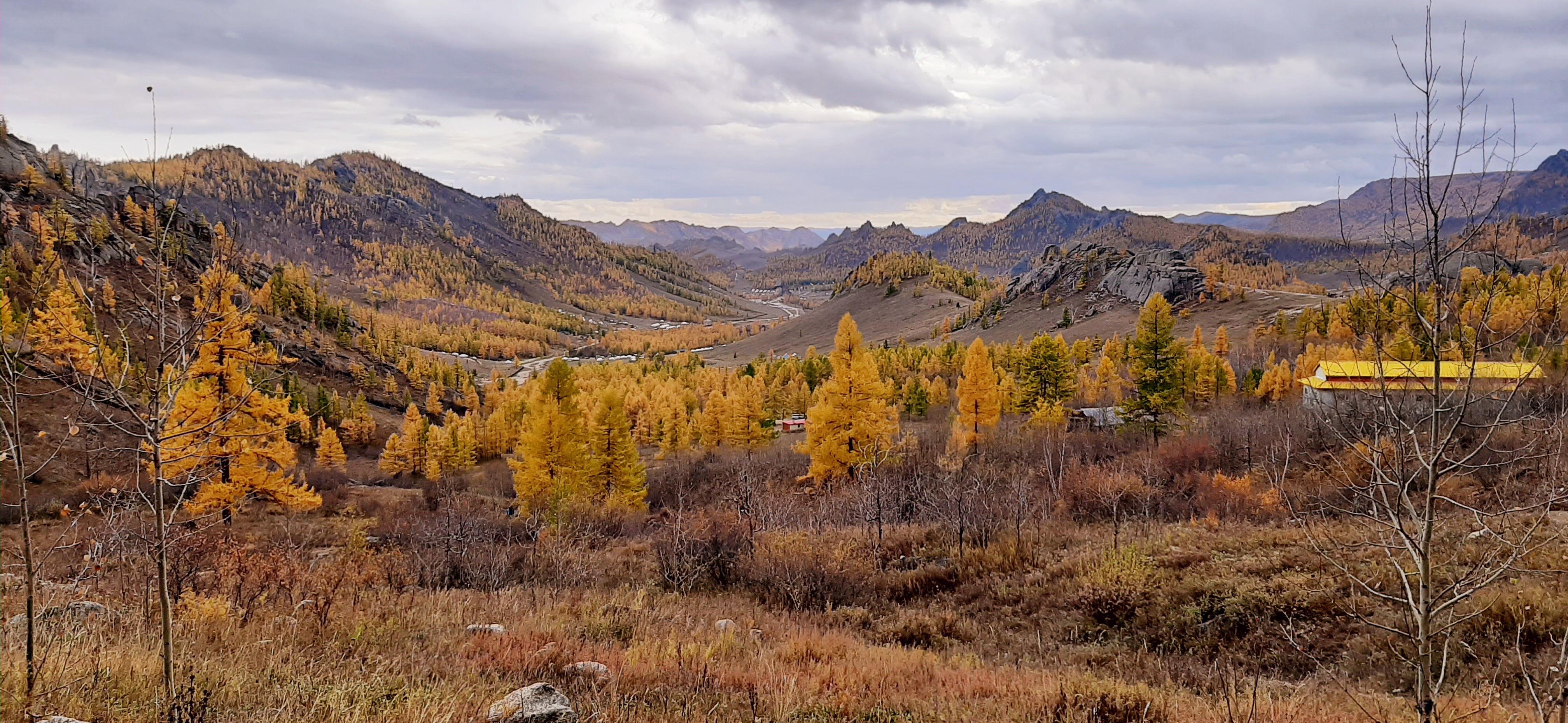 Terelj Mountain Views